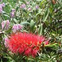 Picasa 2.7